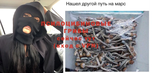 твердый Алексин