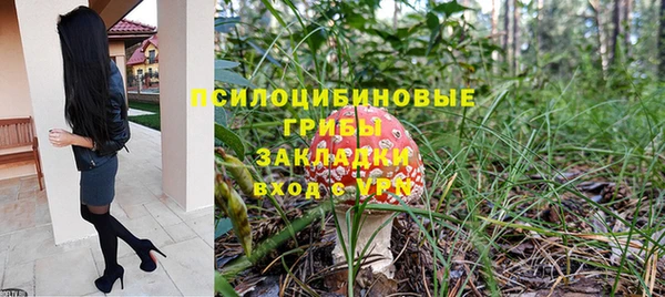 соль ск Алзамай