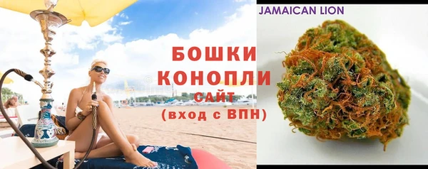 гашик Арсеньев