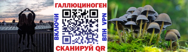 ОМГ ОМГ наркотики Байкальск Галлюциногенные грибы MAGIC MUSHROOMS